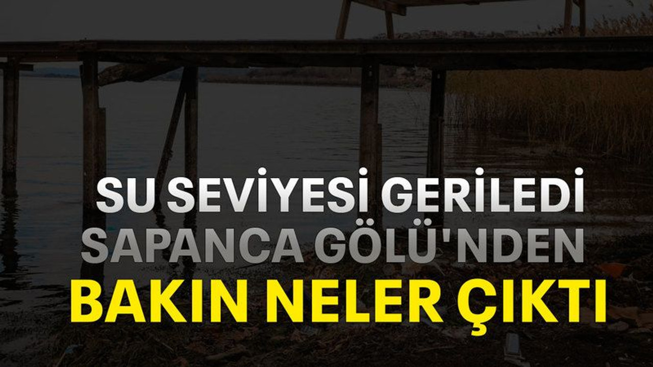 Su seviyesi geriledi, Sapanca Gölü'nden bakın neler çıktı